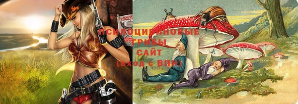 первитин Инсар