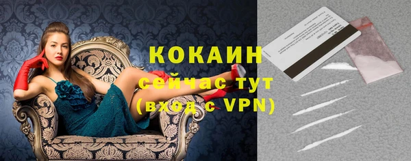 прущая мука Каменногорск