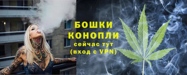 прущая мука Каменногорск