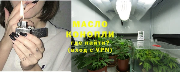 первитин Инсар