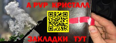 ГАЛЛЮЦИНОГЕННЫЕ ГРИБЫ Тара