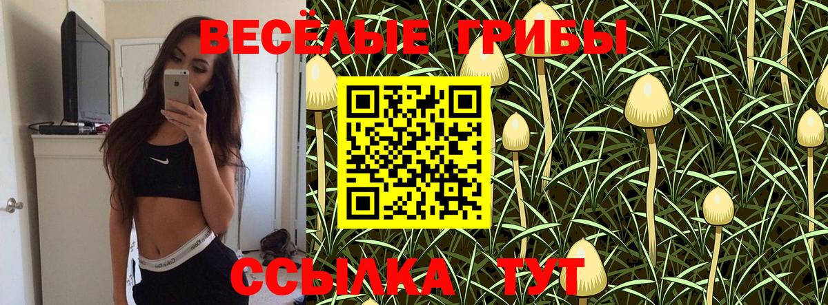 Галлюциногенные грибы GOLDEN TEACHER Краснотурьинск